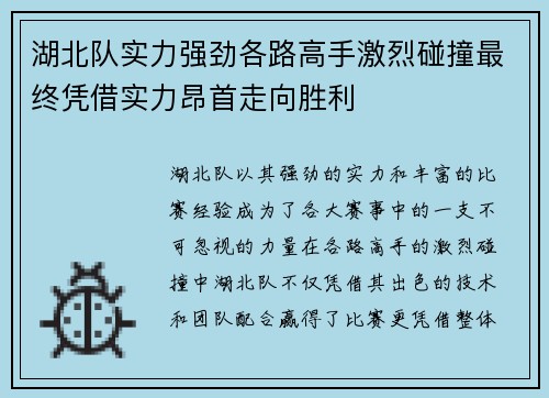 湖北队实力强劲各路高手激烈碰撞最终凭借实力昂首走向胜利
