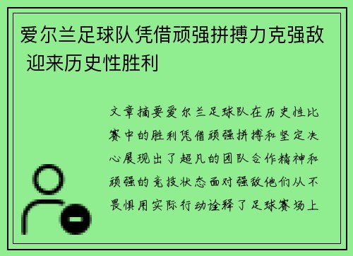 爱尔兰足球队凭借顽强拼搏力克强敌 迎来历史性胜利